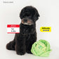 Cabbage Nosework Toy
