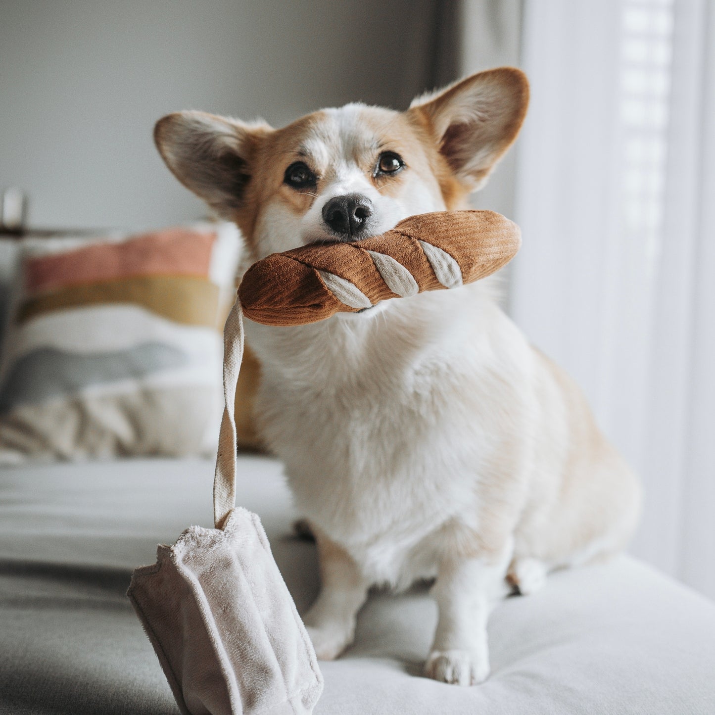 Mini Baguette (Enrichment pockets + Squeaky+ Snuffle)