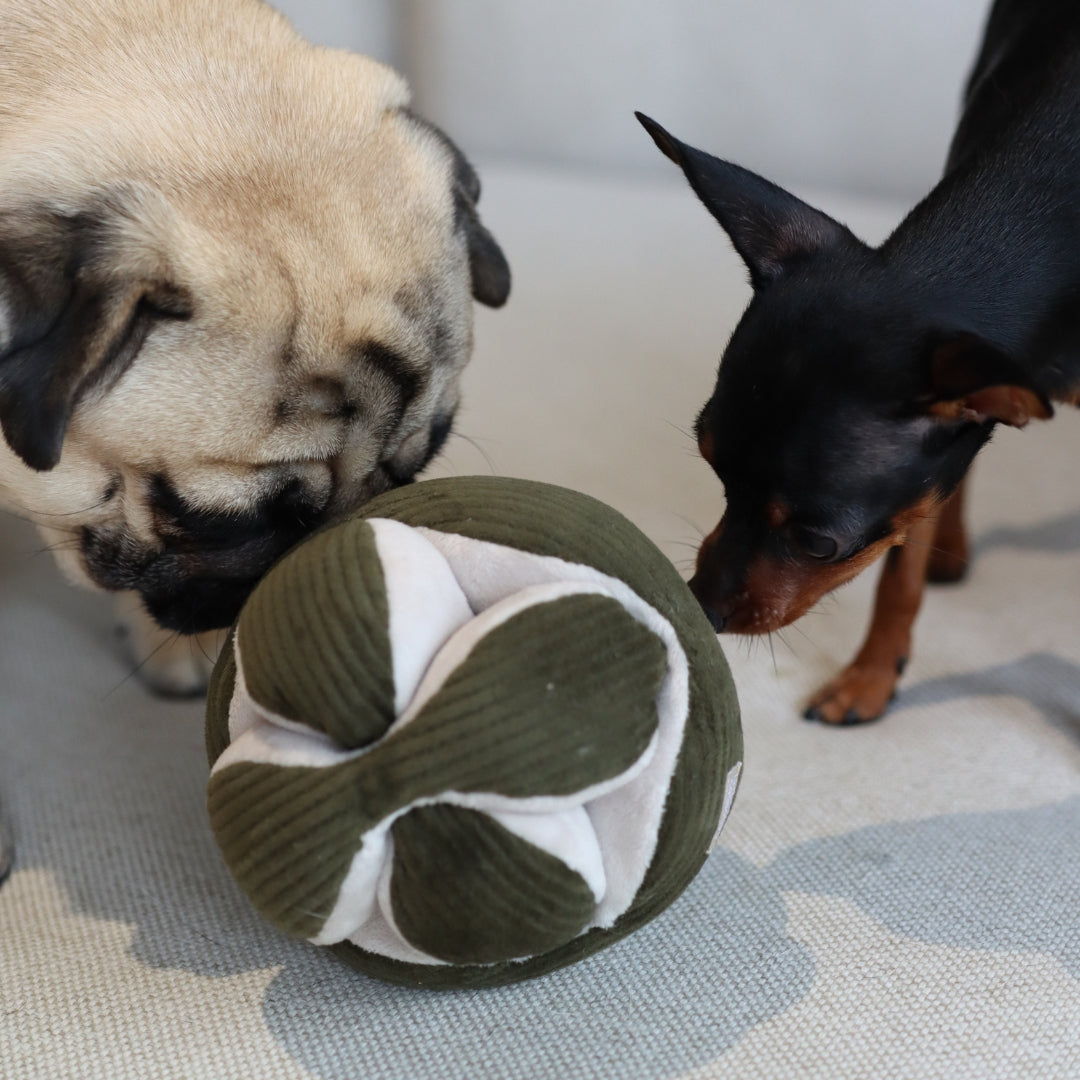 Monti *(Crinkly + Squeaky + Snuffle Ball)