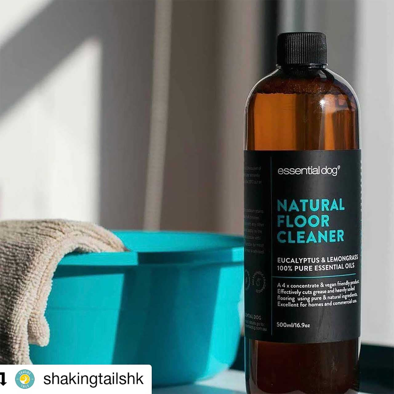 Natural Floor Cleaner (Eucalyptus and Lemongrass) - 500ml
