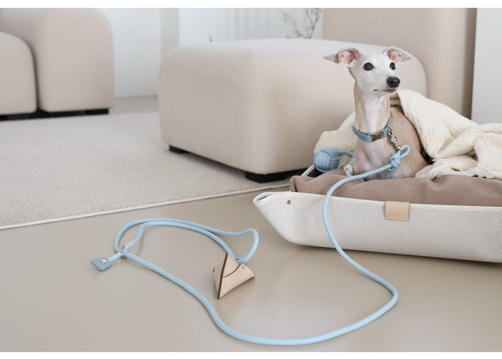 3way Hands Free Leash Black