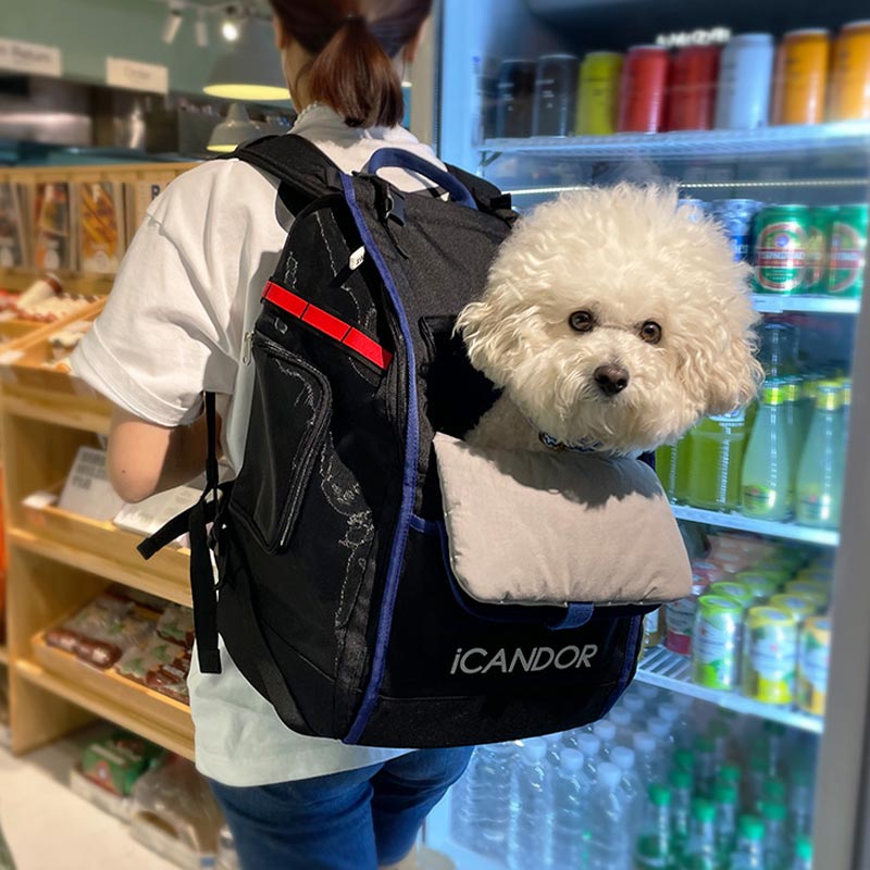 Jige Pet Backpack -  Dynamic Black (including Wooly Cushion - grey)