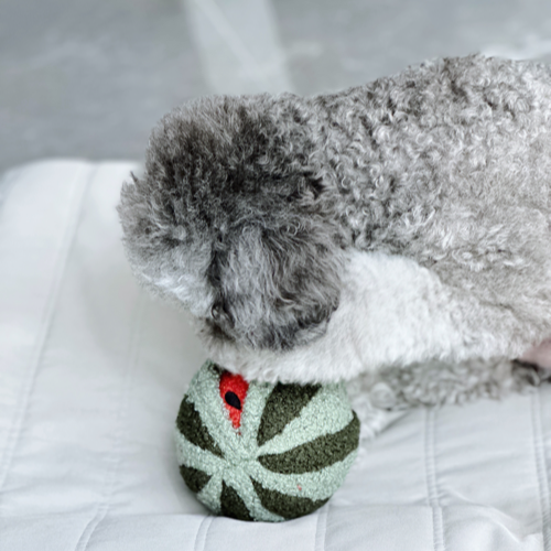 Watermelon Pop (Bouncy + Snuffle)