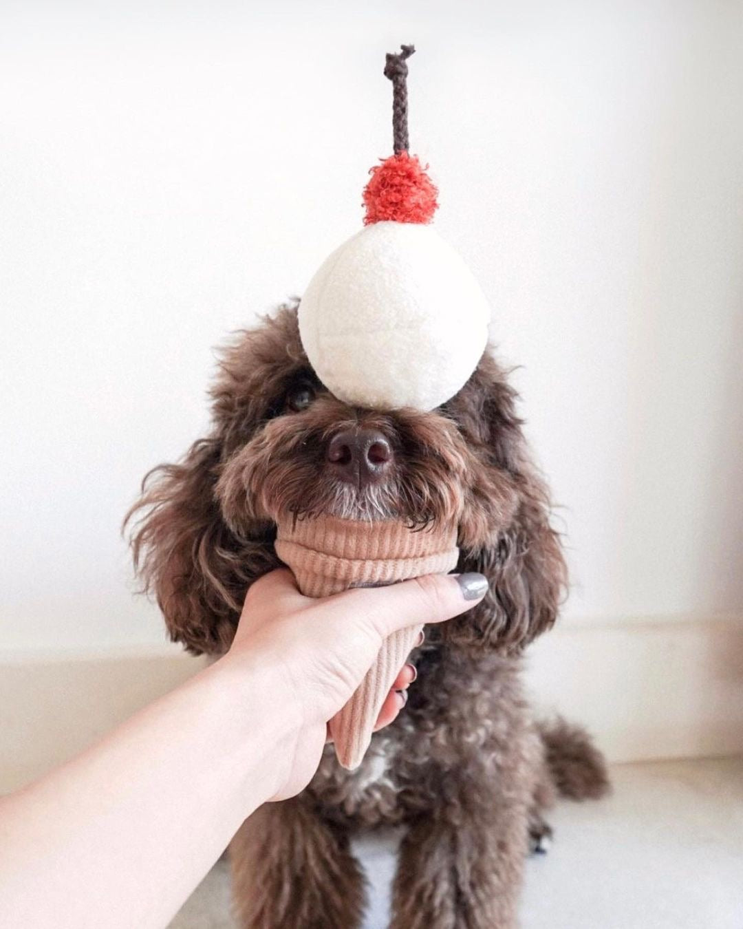 Ice Cream POP (Snuffle + Bouncy ball )