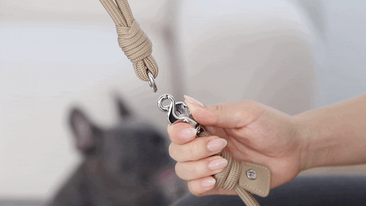 3way Hands Free Leash Black