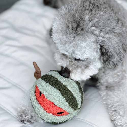 Watermelon Pop (Bouncy + Snuffle)
