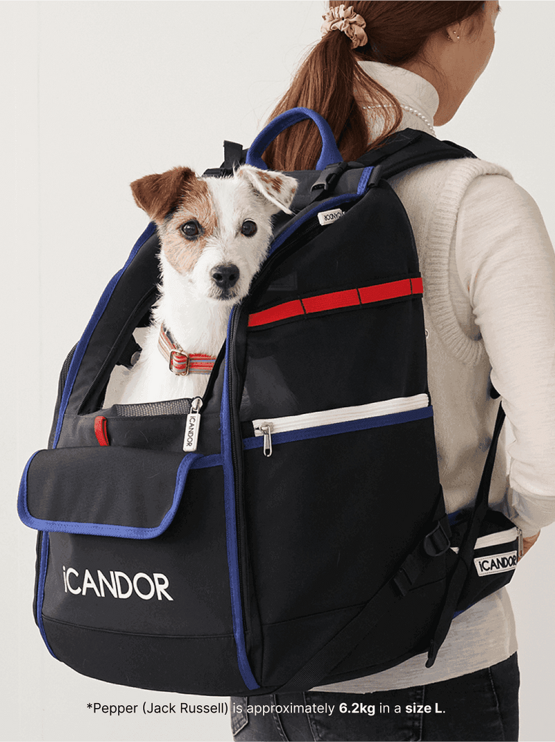 Jige Pet Backpack -  Dynamic Black (including Wooly Cushion - grey)