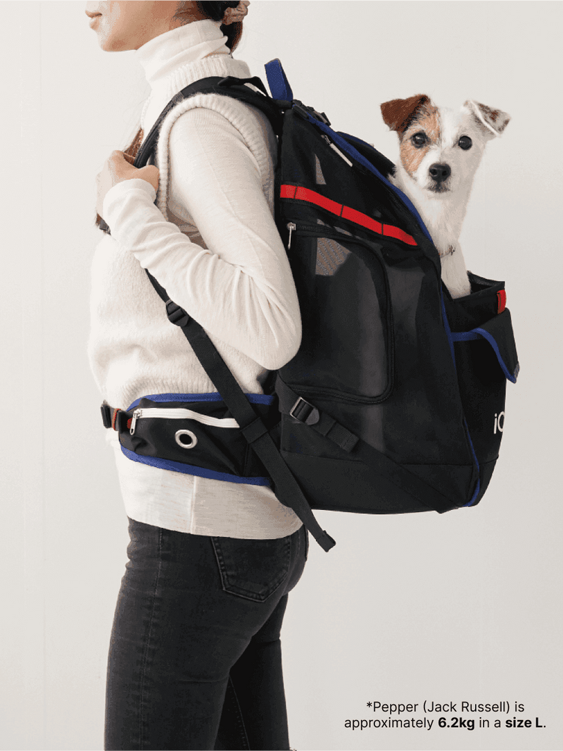Jige Pet Backpack -  Dynamic Black (including Wooly Cushion - grey)