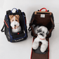 Jige Pet Backpack -  Dynamic Black (including Wooly Cushion - grey)