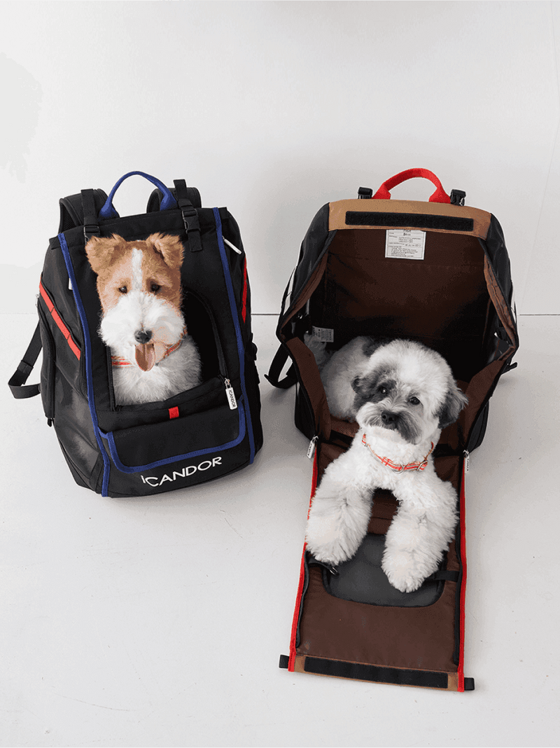 Jige Pet Backpack -  Dynamic Black (including Wooly Cushion - grey)