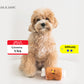 Barbecue meat Toy