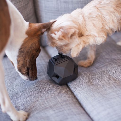 The Odin Puzzle Toy Slate Grey
