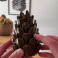 Loblolly Pinecone Puzzle Toy