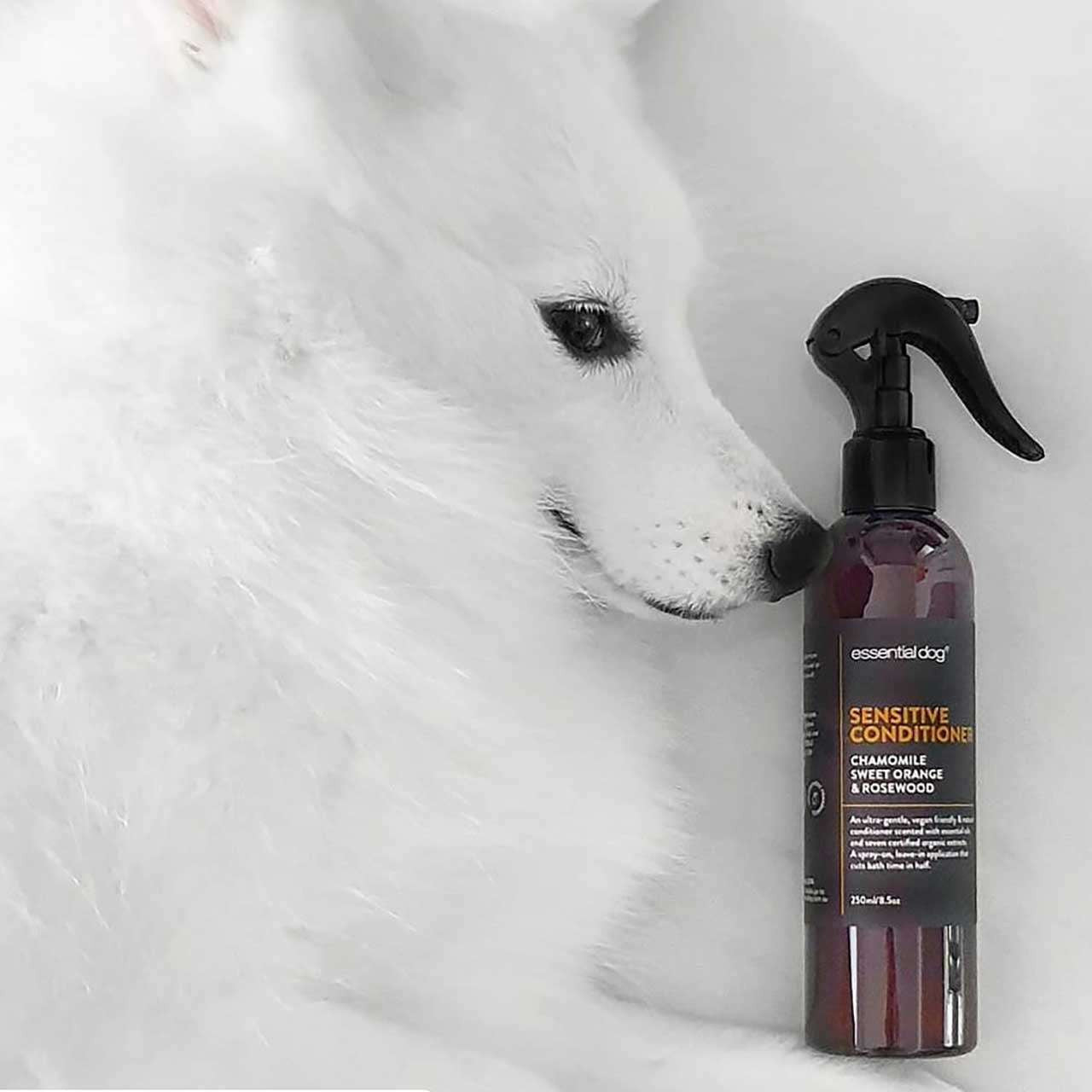Sensitive Dog Shampoo & Conditioner Pack (Chamomile, Orange & Rosewood) - 250ml
