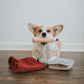 Back to School (Snuffle + Burrow )