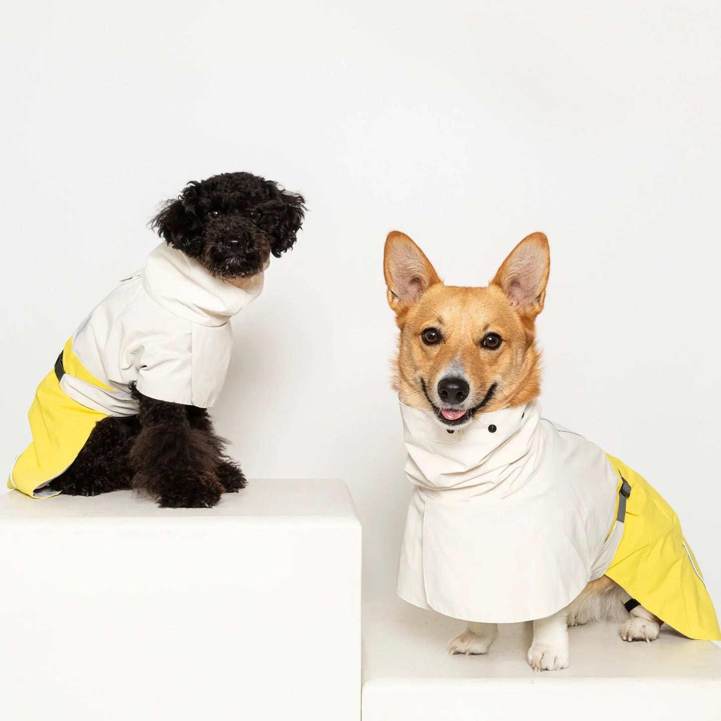 All Weather Jacket - No Umbrella Club