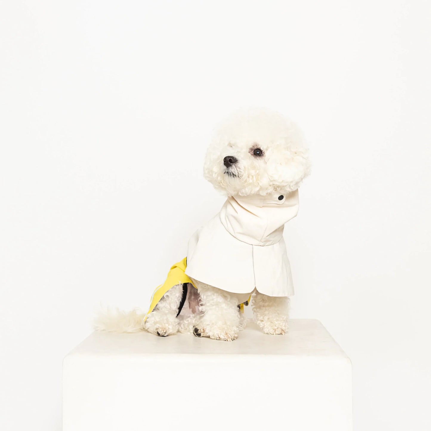 All Weather Jacket - No Umbrella Club