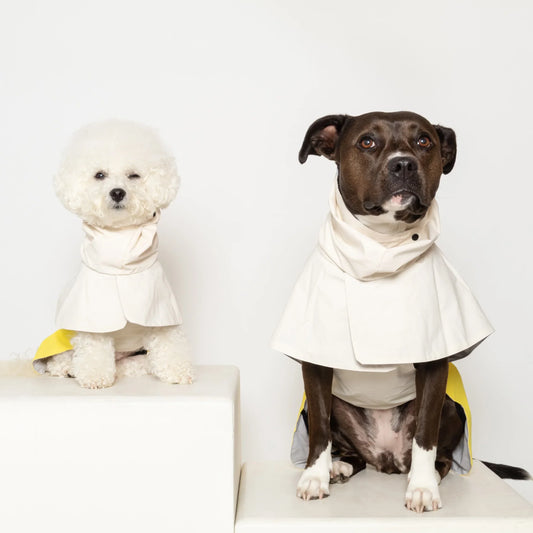 All Weather Jacket - No Umbrella Club