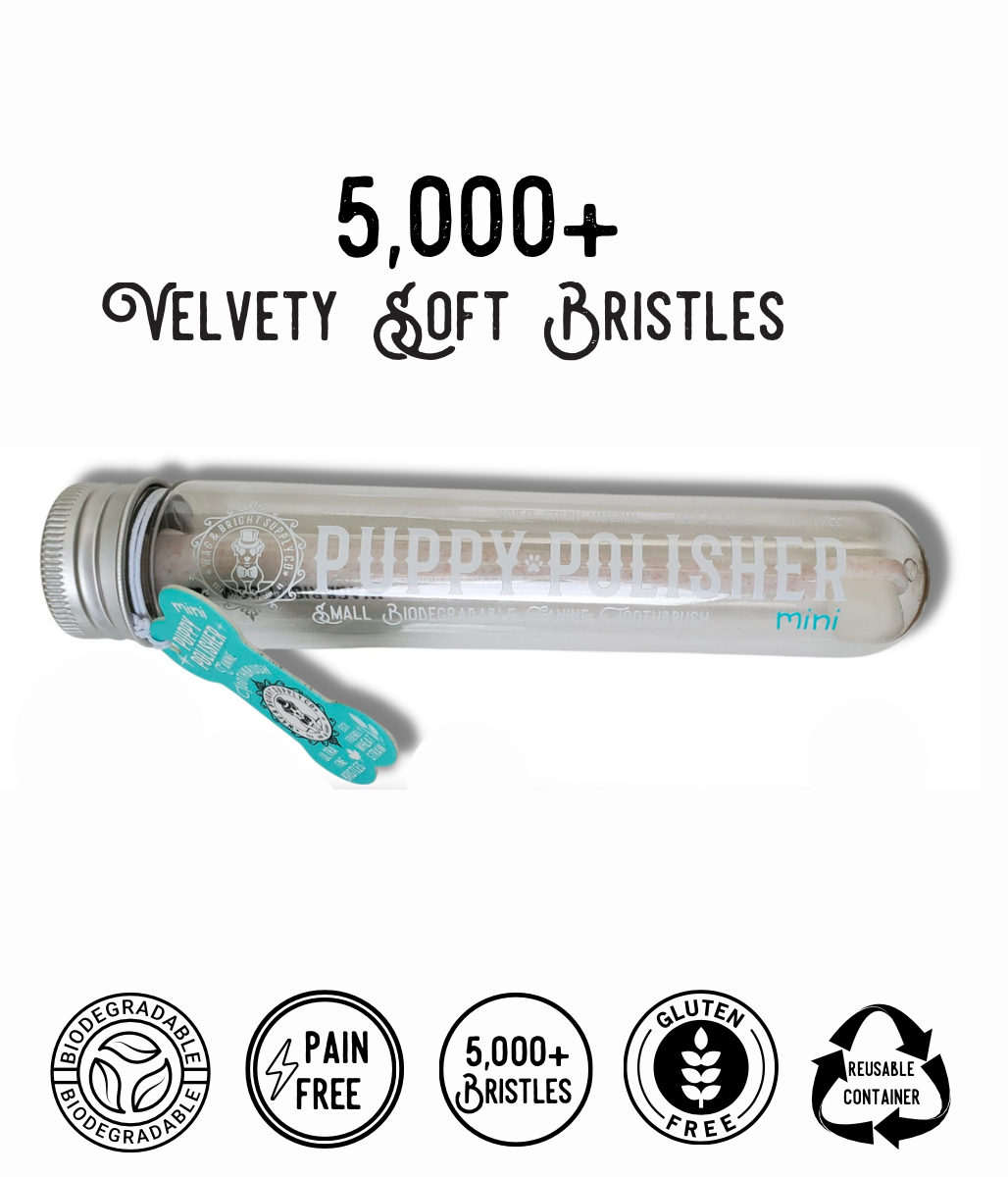 Puppy Polisher  Eco Toothbrush