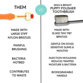 Puppy Polisher  Eco Toothbrush