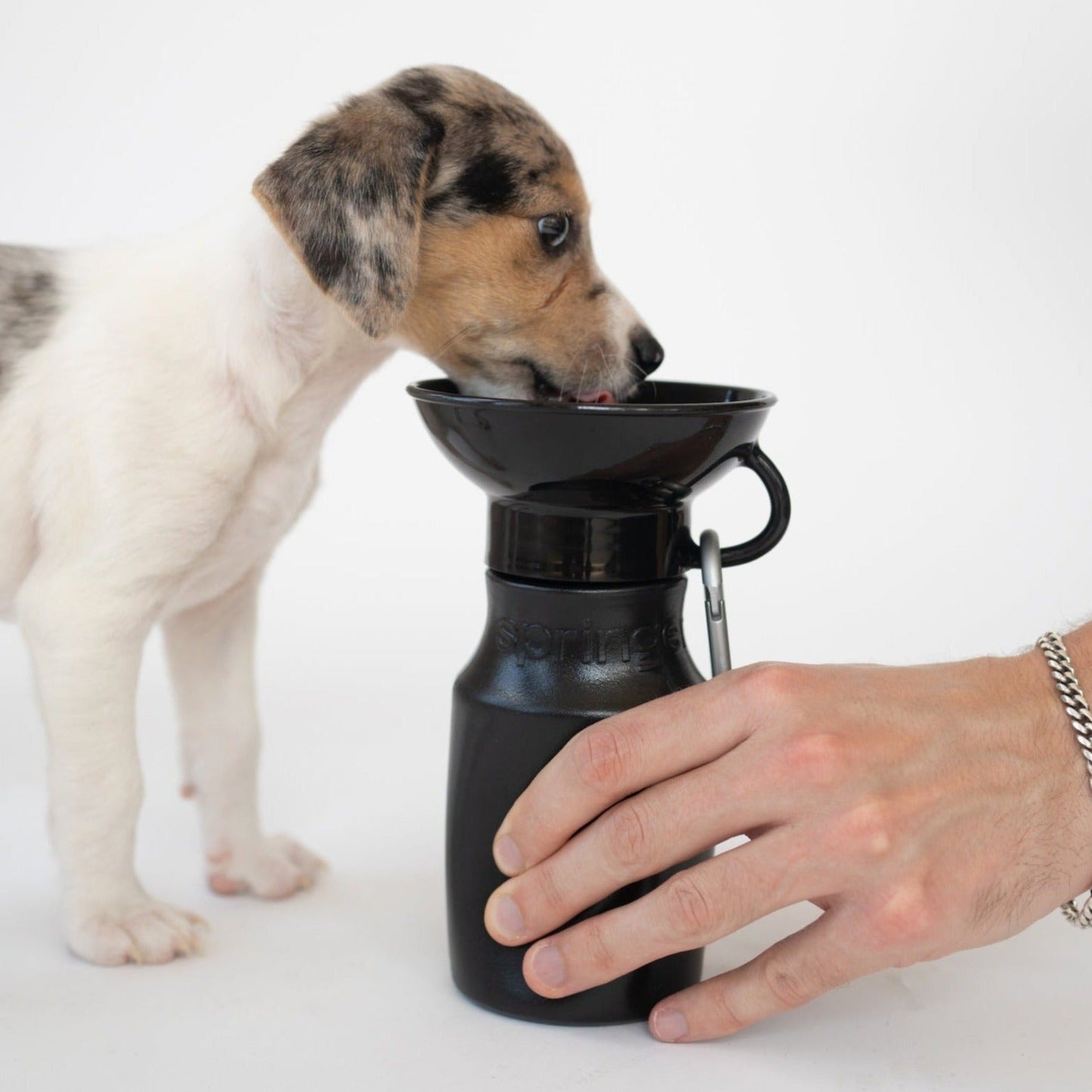 Mini Travel Water bottle - 450 ml / 15 OZ