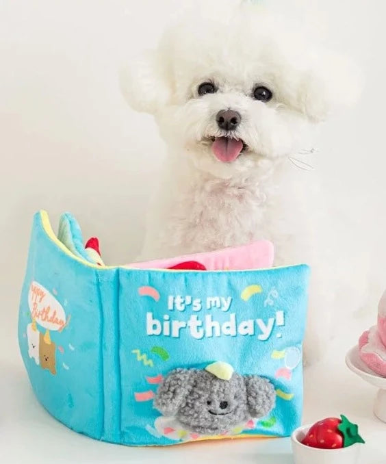 My Birthday Playbook