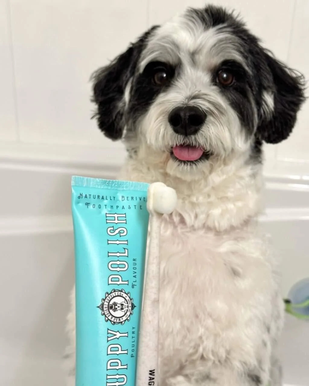 Puppy Polisher  Eco Toothbrush